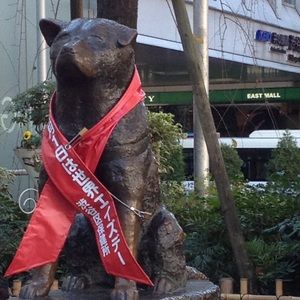 Meet your Posher, Robert